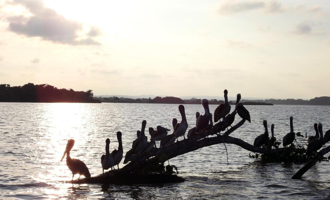 Don Luis Hostal - Sucursal Hidalgo - Tecolutla Ngoại thất bức ảnh